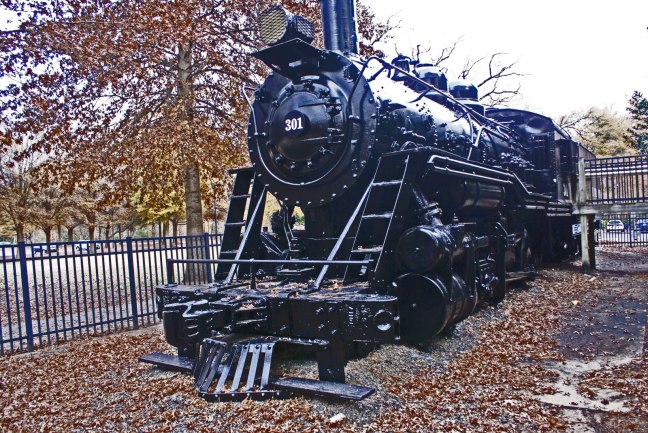 train in Freedom Park
