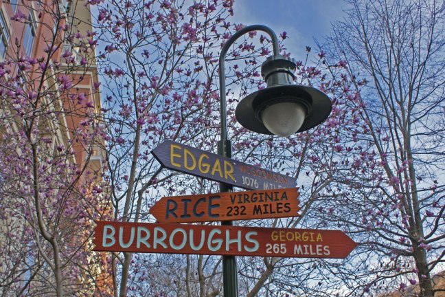 20150319_flowers_900x600