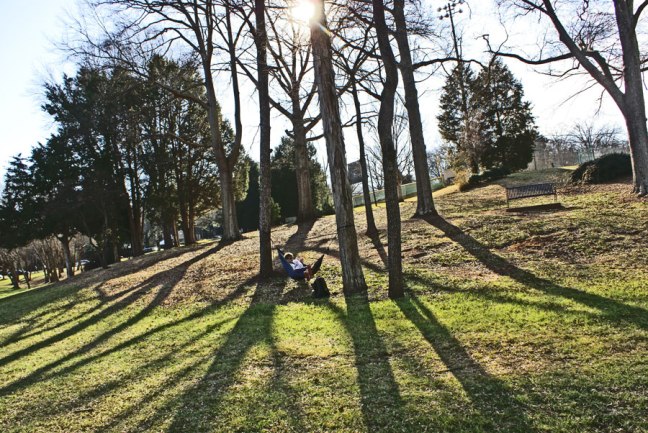 20150310_hammock_900x600