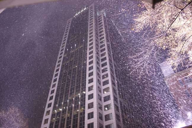 20150226_snow_900x600