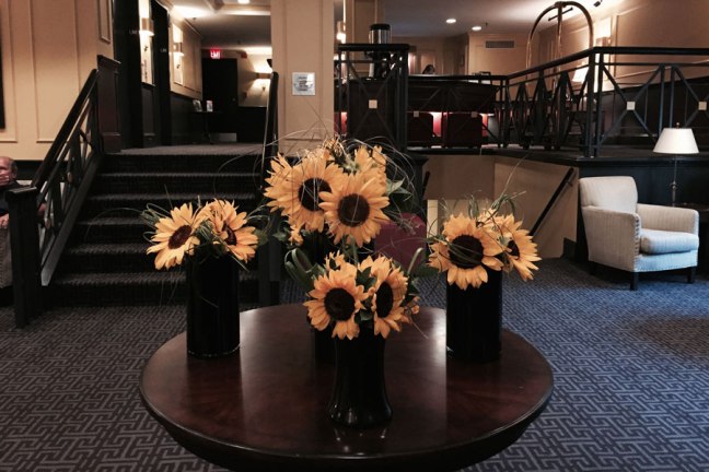 Dunhilll sunflowers in the lobby 