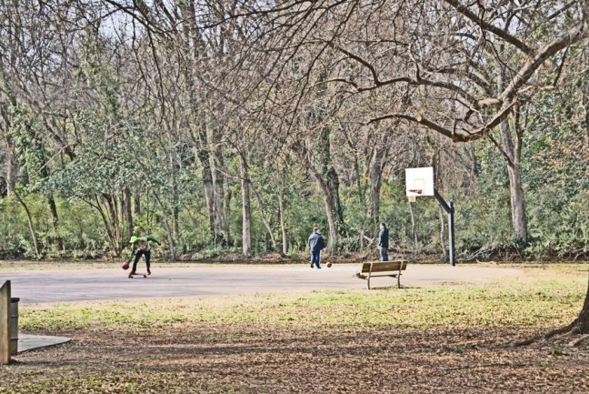 20150312_basketball_900x600