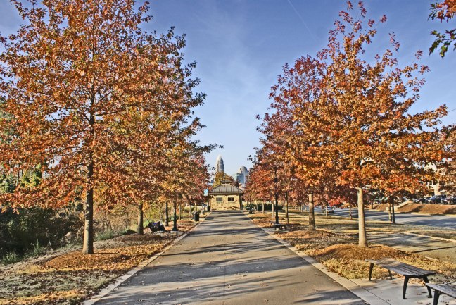 Enjoying a hammock on the Little Sugar Creek Greenway with Uptown Charlotte in the background 